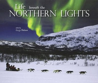 Lizzy Pattison - Life beneath the Northern Lights, Häftad