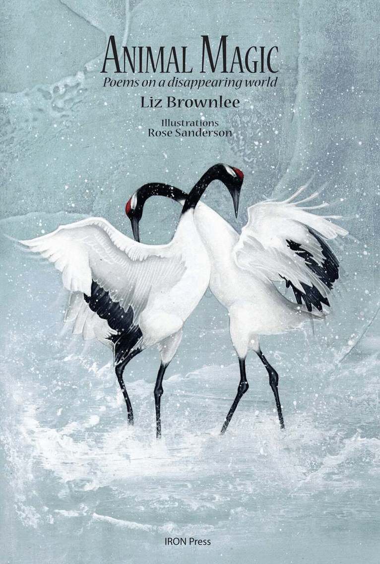 Liz Brownlee - Animal Magic: Poems on a Disappearing World, Häftad