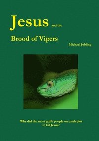 bokomslag Jesus and The Brood of Vipers