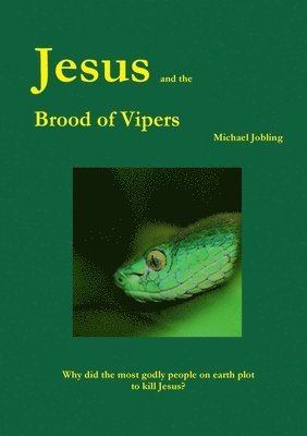 bokomslag Jesus and The Brood of Vipers