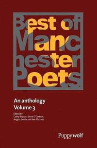 bokomslag Best of Manchester Poets, Volume 3