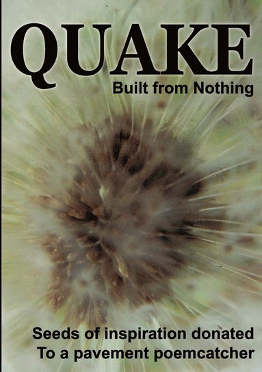 bokomslag Quake