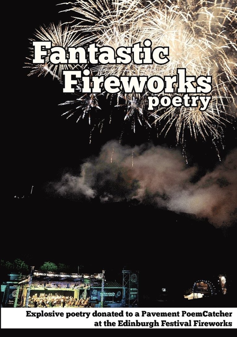 Fantastic Fireworks 1