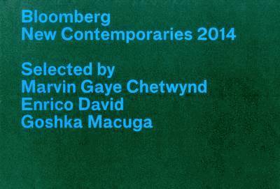 Bloomberg New Contemporaries 2014 1