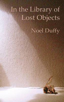 Noel Duffy - In the Library of Lost Objects, Häftad