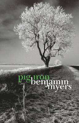 bokomslag Pig Iron