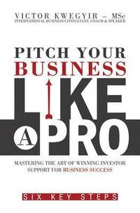 bokomslag Pitch Your Business Like a Pro