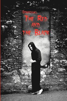 Stendhal, Alexander Vassiliev - Red and the Black, Häftad
