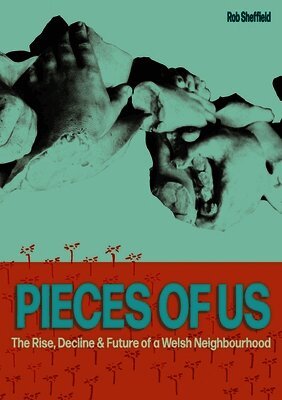 Rob Sheffield - Pieces of Us, Häftad