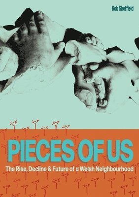 Rob Sheffield - Pieces of Us, Häftad