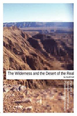 bokomslag Wilderness and the Desert of the Real