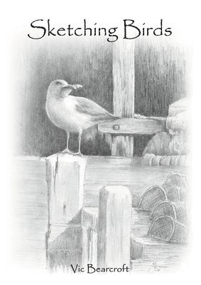 bokomslag Sketching Birds