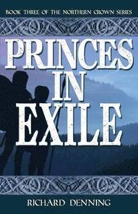 bokomslag Princes in Exile