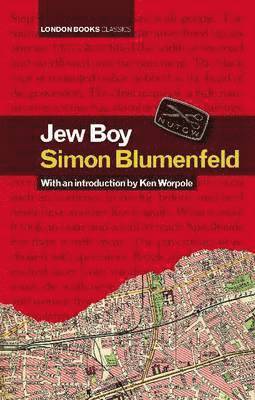 bokomslag Jew Boy