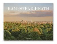 Hampstead Heath 1