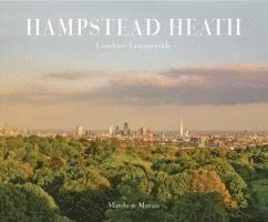 Hampstead Heath 1