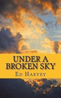 bokomslag Under A Broken Sky