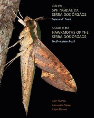 A Guide to the Hawkmoths of the Serra dos Orgaos, South-eastern Brazil / Guia dos Sphingidae da Serra dos Orgaos, Sudeste do Brasil 1