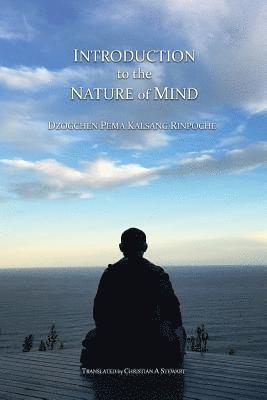 bokomslag Introduction to the Nature of Mind