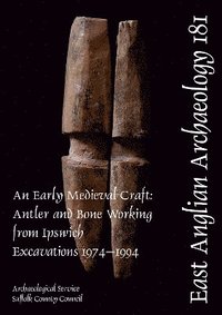 bokomslag EAA 181: An Early Medieval Craft