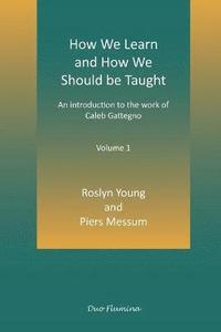 bokomslag How We Learn and How We Should be Taught