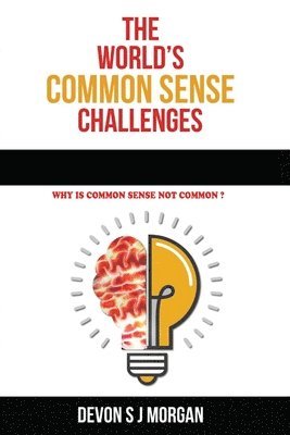 bokomslag The World's Common Sense Challenges