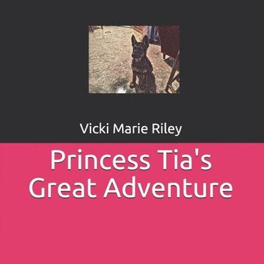 bokomslag Princess Tia's Great Adventure