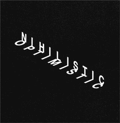 Gustav Metzger, Jon Savage, Hans-Ulrich Obrist - Nihilistic Optimistic - Tim Noble & Sue Webster, Inbunden