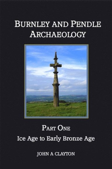 bokomslag Ice Age to Early Bronze Age