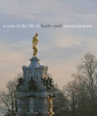 Year in the Life of Bushy Park