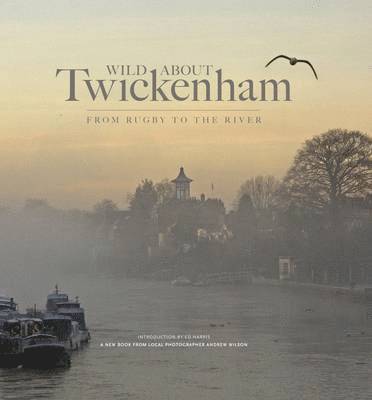 Andrew Wilson, Ed Harris - Wild About Twickenham, Inbunden