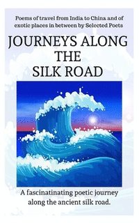 bokomslag Journeys Along the Silk Road