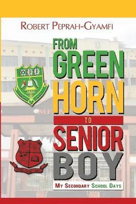 From Greenhorn to Senior Boy My Secondary School Days 1