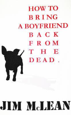 Jim McLean - How to Bring a Boyfriend Back from the Dead, Häftad