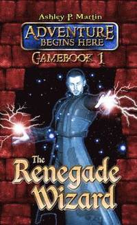 bokomslag The Renegade Wizard