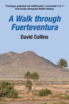 David Collins - Walk Through Fuerteventura, Häftad