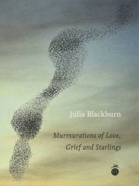 bokomslag Murmurations of Love, Grief and Starlings