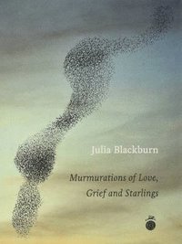 bokomslag Murmurations of Love, Grief & Starlings