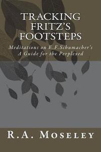 bokomslag Tracking Fritz's Footsteps: Meditations on E.F. Schumacher's A Guide for the Perplexed