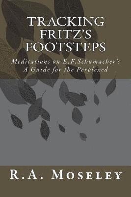 Tracking Fritz's Footsteps: Meditations on E.F. Schumacher's A Guide for the Perplexed 1