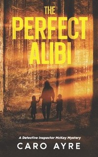 bokomslag Perfect Alibi