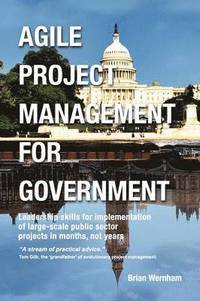 bokomslag Agile Project Management for Government