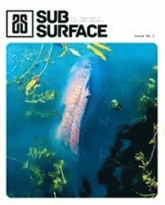 Gareth Fareham - Brave New World, Häftad