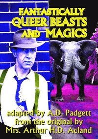 bokomslag Fantastically Queer Beasts and Magics