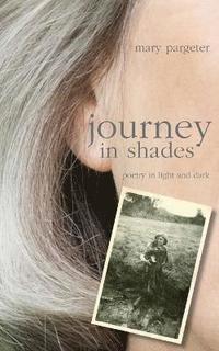 bokomslag Journey in Shades