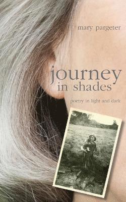 Journey in Shades 1