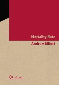 bokomslag Mortality Rate