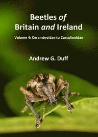 Cerambycidae to Curculionidae