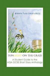 bokomslag Sunlight on Grass: a Student Guide to the AQA GCSE Short Story Anthology