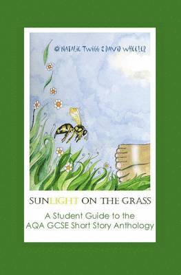 Natalie Twigg, David Wheeler - Sunlight on Grass: a Student Guide to the AQA GCSE Short Story Anthology, Häftad